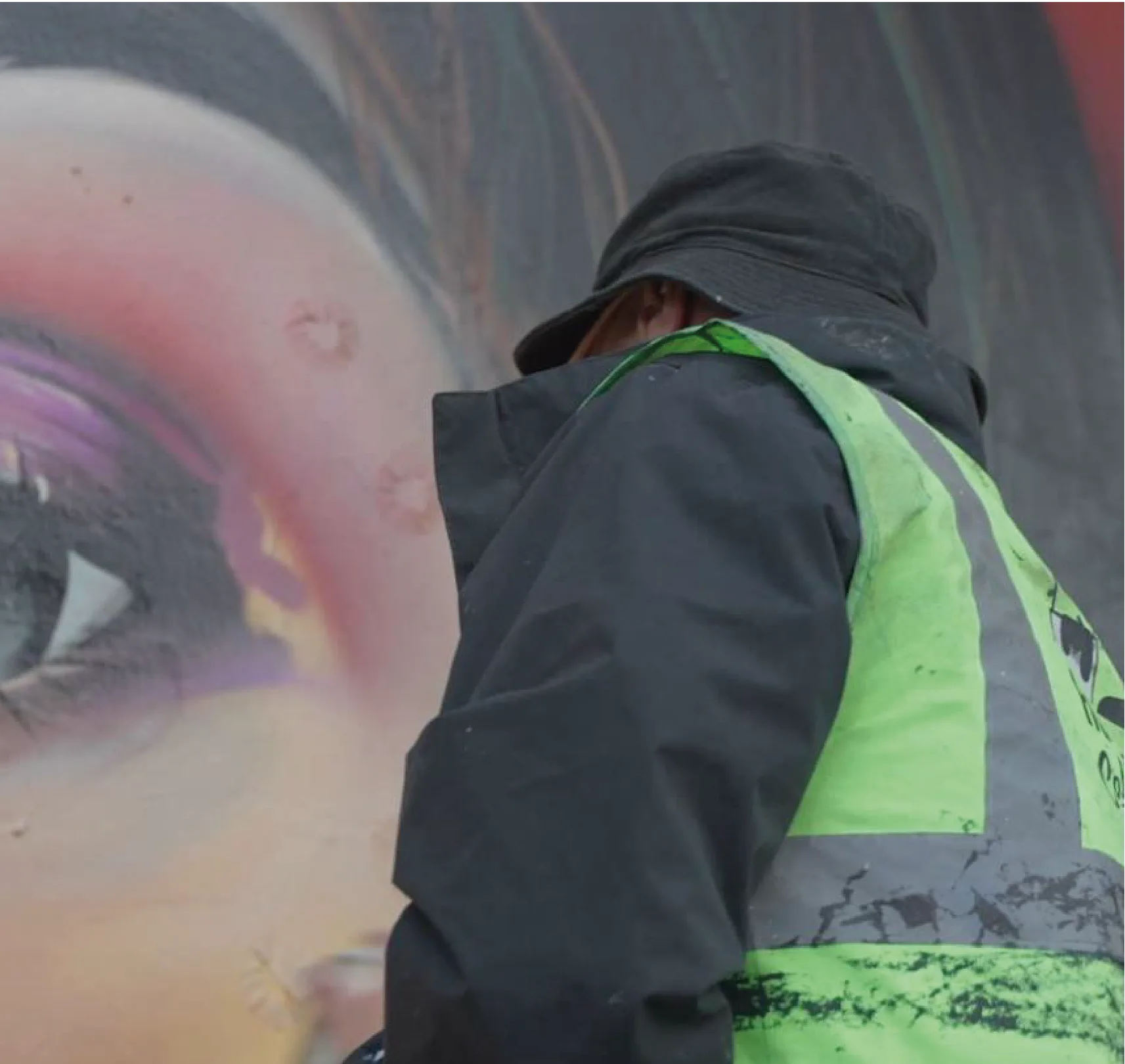 Detalle mural Alpro 1